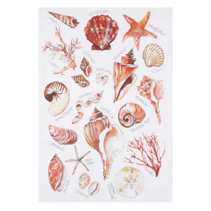 Picture of Peking Handicraft 04SER607WC 18 x 25 in. Seashells Cotton Kitchen Towel, Multi Color 