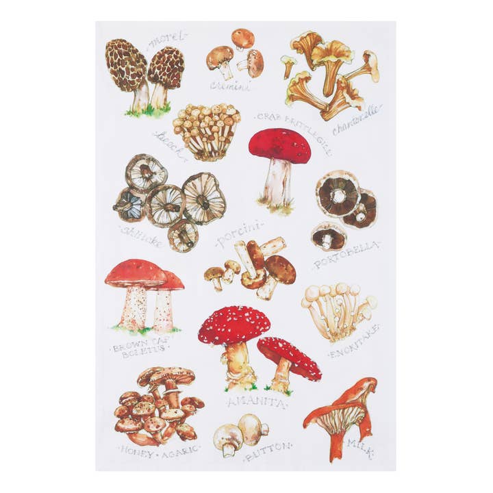 Picture of Peking Handicraft 04SER605WC 18 x 25 in. Field Guide Mushroom Kitchen Towel, Multi Color 