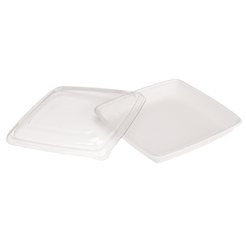 210APOUP1000 Square Sugarcane Plate - 9.25 x 9.25 x 1.1 in.
