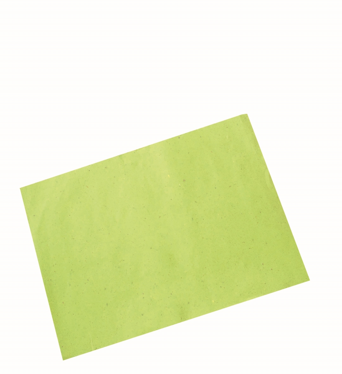 Picture of Packnwood 210SET3040V 11.8 x 15.8 in. Paper Place Mat, Green