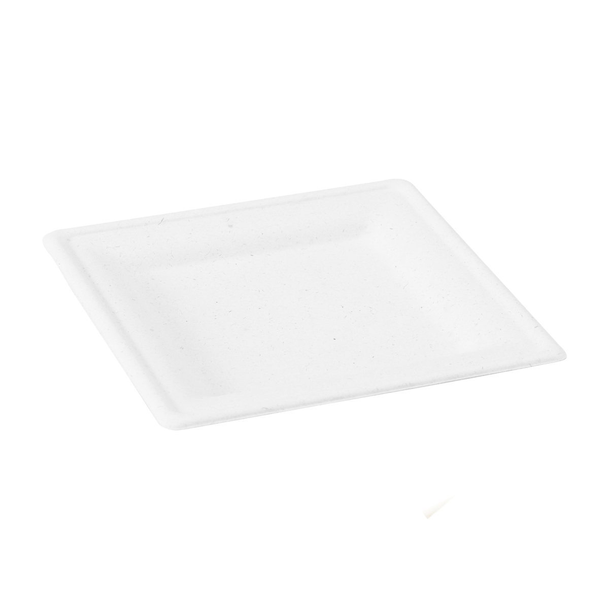 Square White Sugarcane Plate
