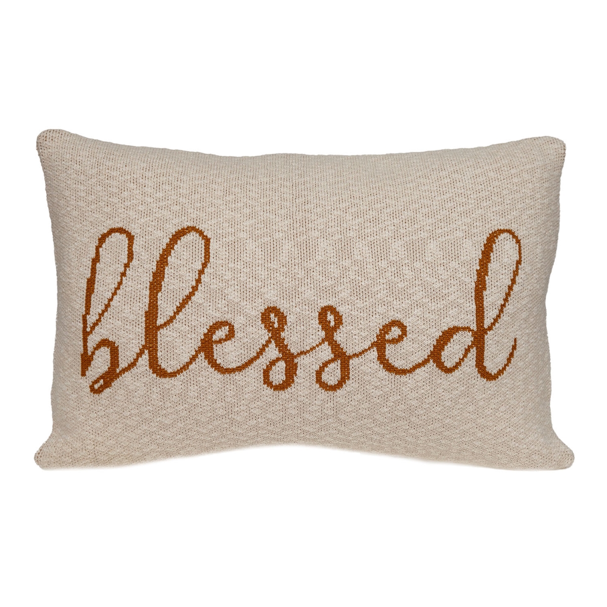 PILK21146P Blessed Transitional Throw Pillow, Beige