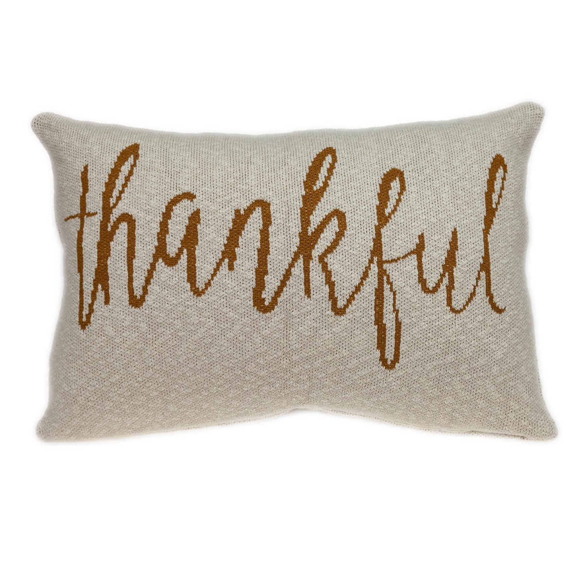 Gold Thankful Transitional Throw Pillow, Beige