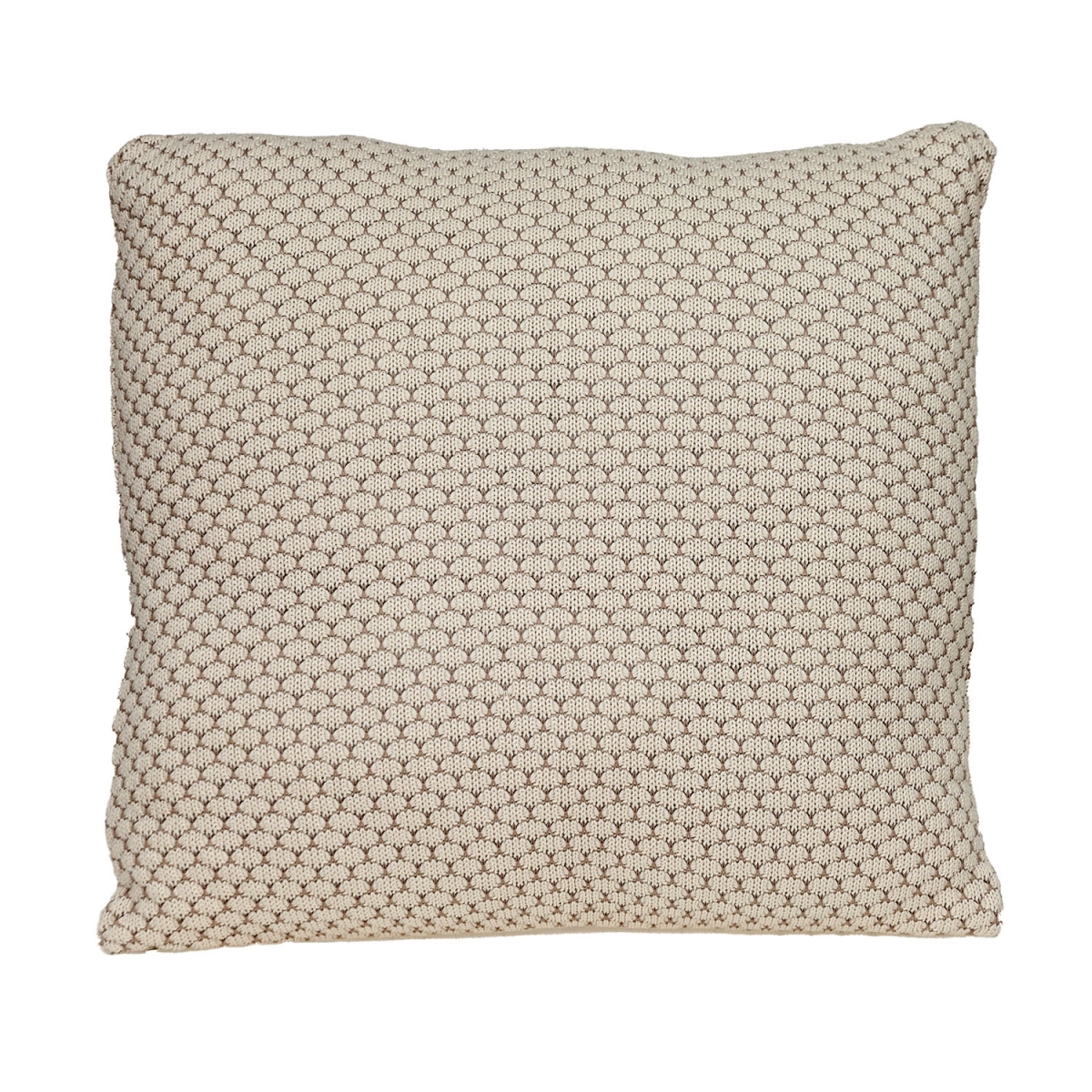 PILK21153P Grace Transitional Throw Pillow, Beige & Cream