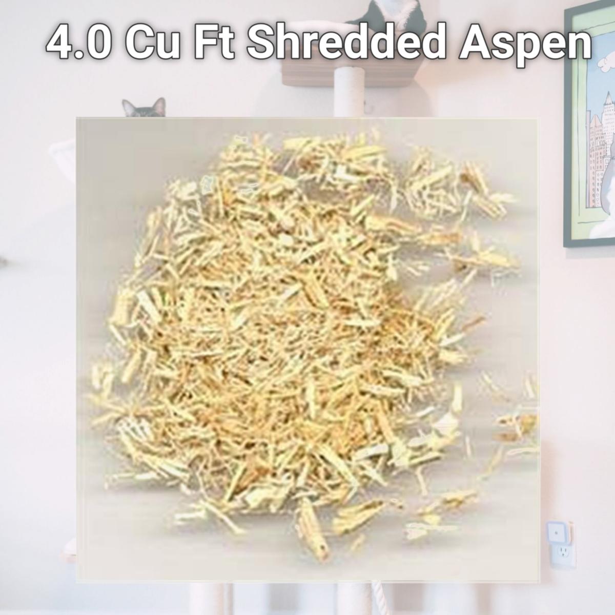 Picture of Northeastern 216007 4.0 Cu Ft Shredded Aspen