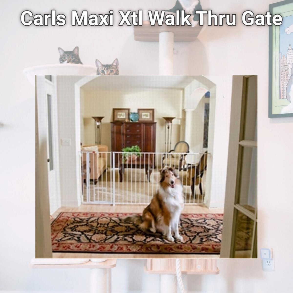 Picture of Carlson Pet Products 916016 Carls Maxi Xtl Walk Thru Gate