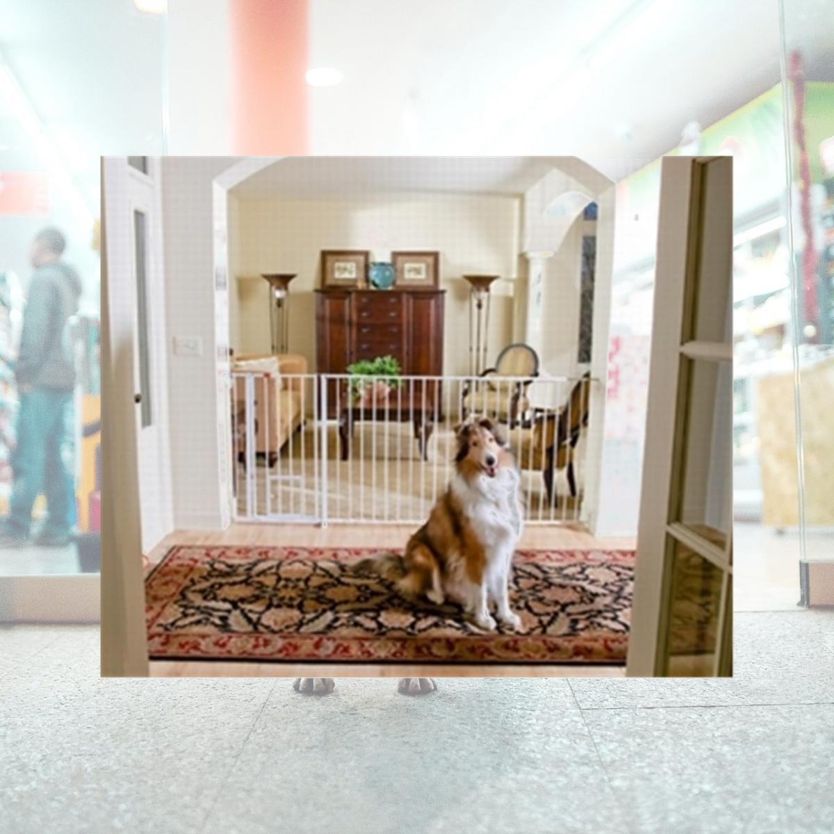 Picture of Carlson Pet Products 916016 Carls Maxi Xtl Walk Thru Gate