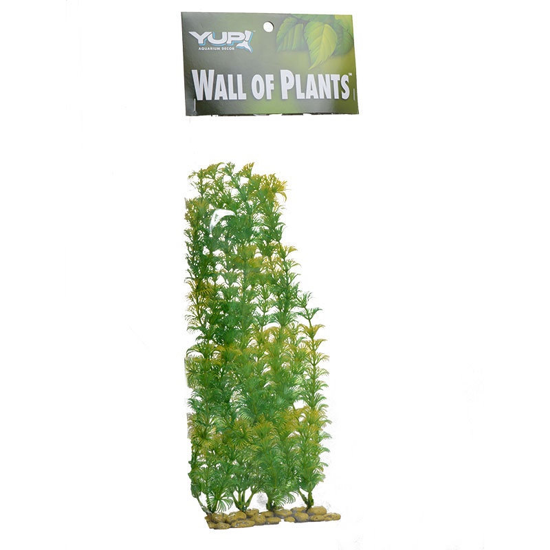 Picture of Aquatic Creation 795118 Zan Wall of Plant&#44; Yellow & Green