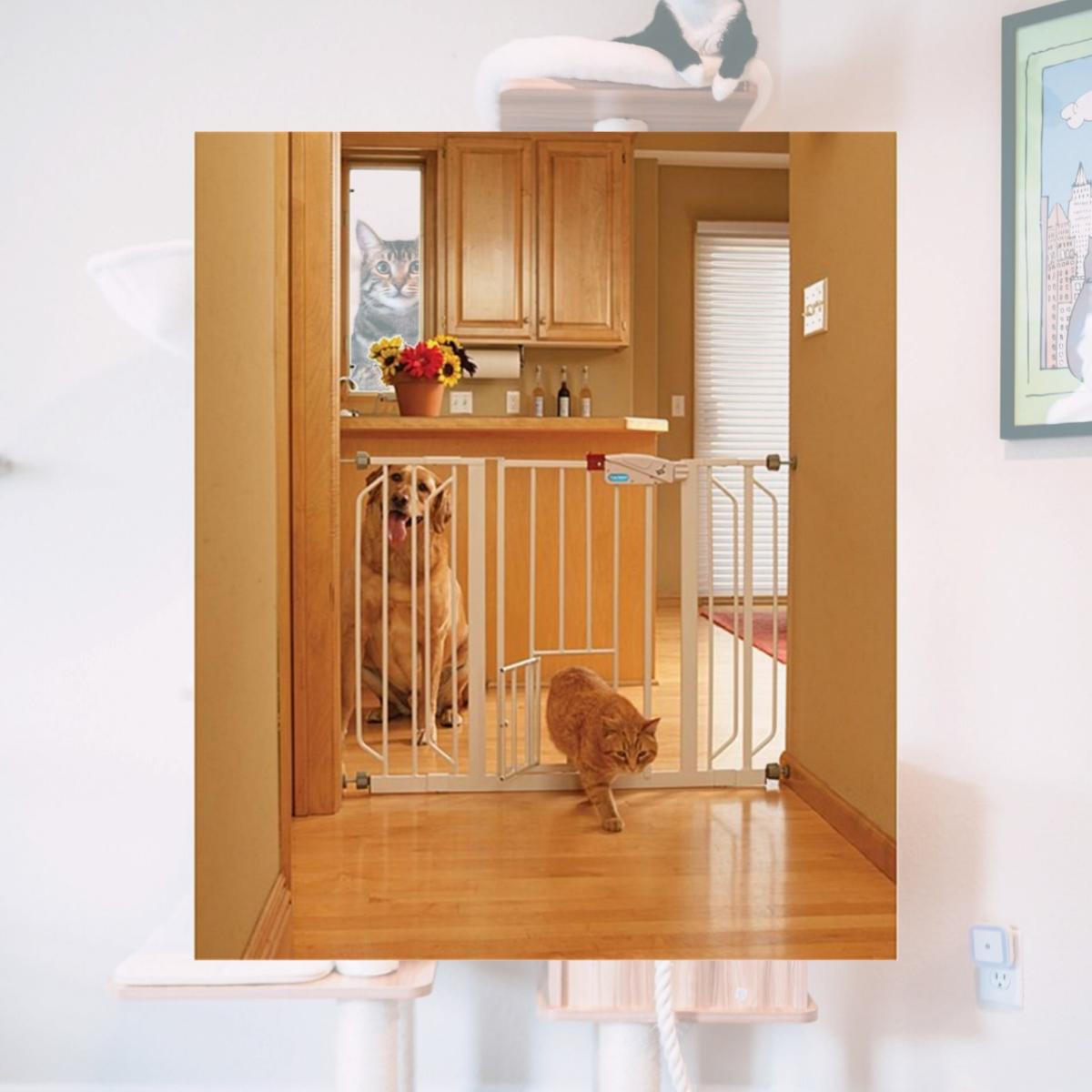 Picture of Carlson Pet Products 916000 Carlson Pet Products Extra Wide Walk Thru Gate with Pet Door