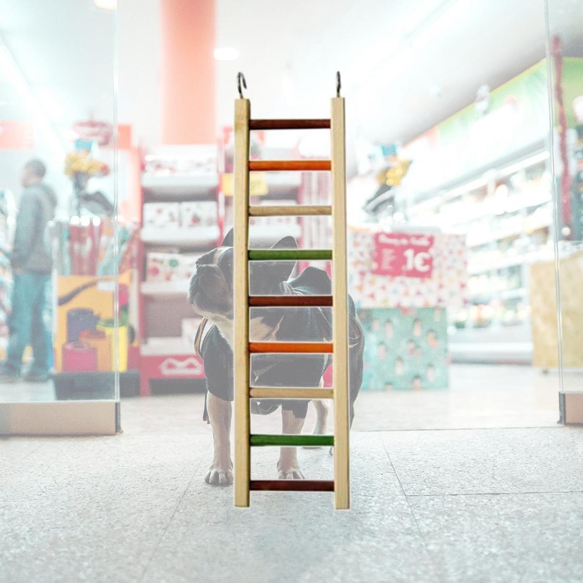 Picture of A&E Cage 644051 20 in. WD Hanging Ladder Toys - Medium