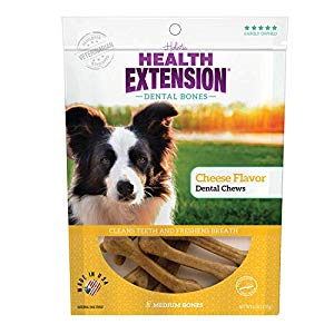 Picture of Health Extension Pet Care 587235 Cheese Flavor Dental Bones Chews - Medium, Pack of 8