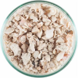Picture of Caribsea 084005 10 lbs Florida Crushed Coral, 4 Count