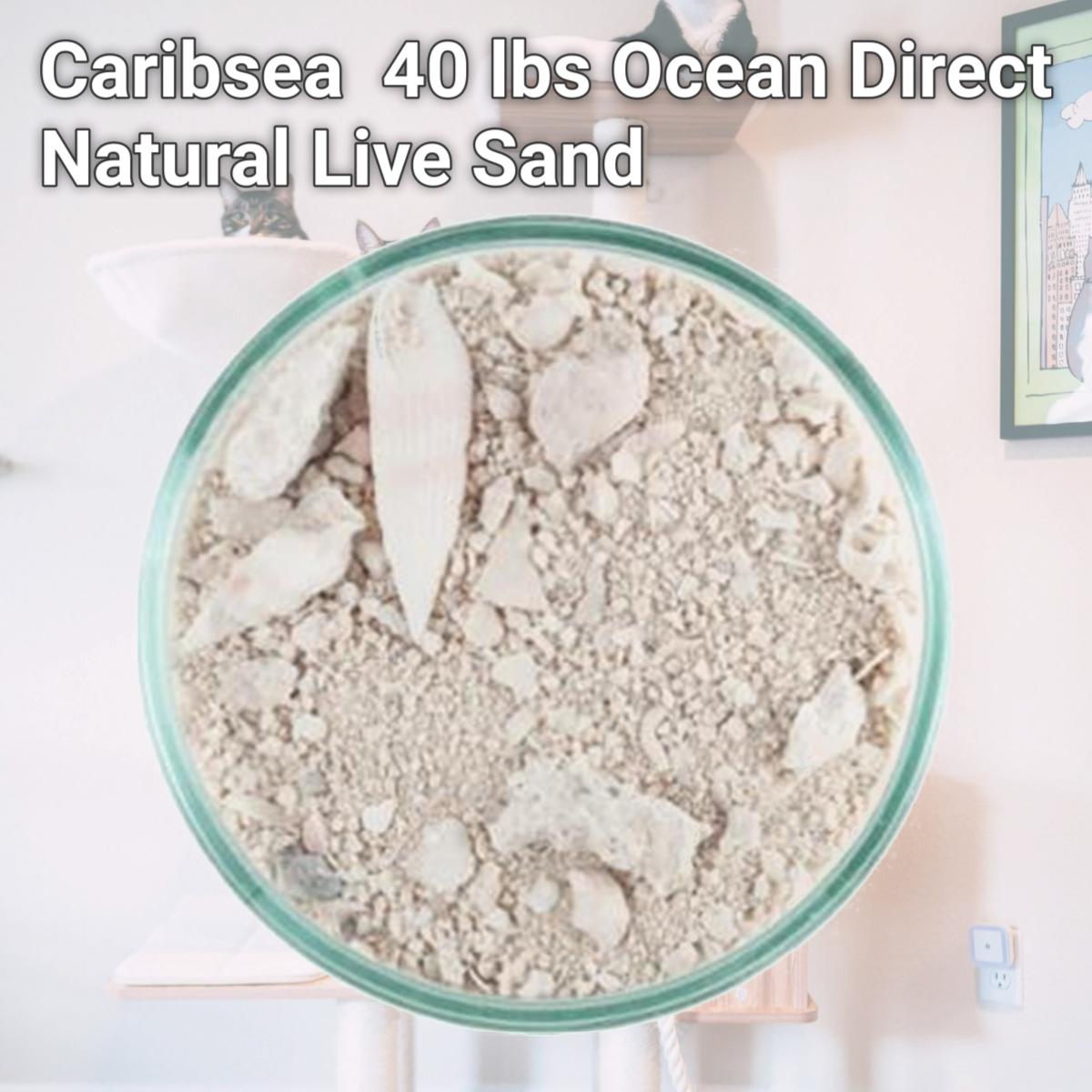 Picture of Caribsea 084073 40 lbs Ocean Direct Natural Live Sand