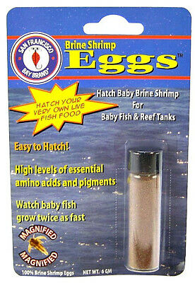 Picture of San Francisco Bay Brand 009100 6 g Brine Shrimp Egg Vial for Baby Fish & Reef Tanks