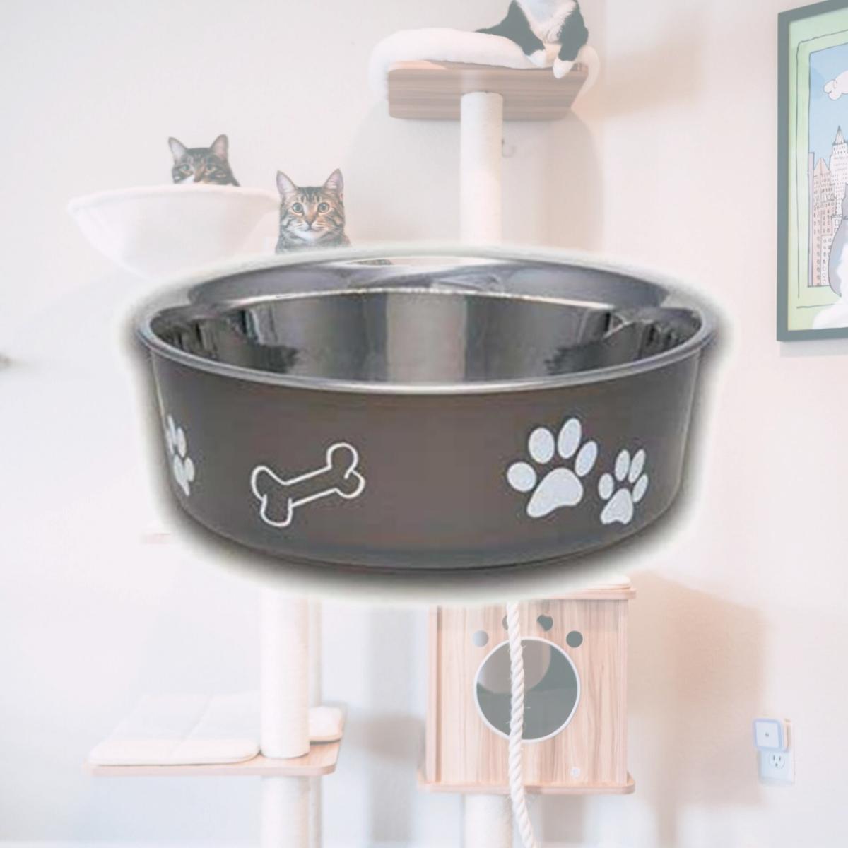 Picture of Loving Pets 430842 Bella Bowl Espr Lg