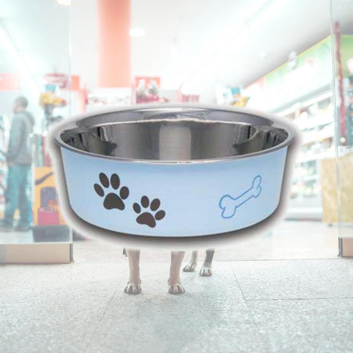Picture of Loving Pets 430857 Bella Bowl Murano BlueMed