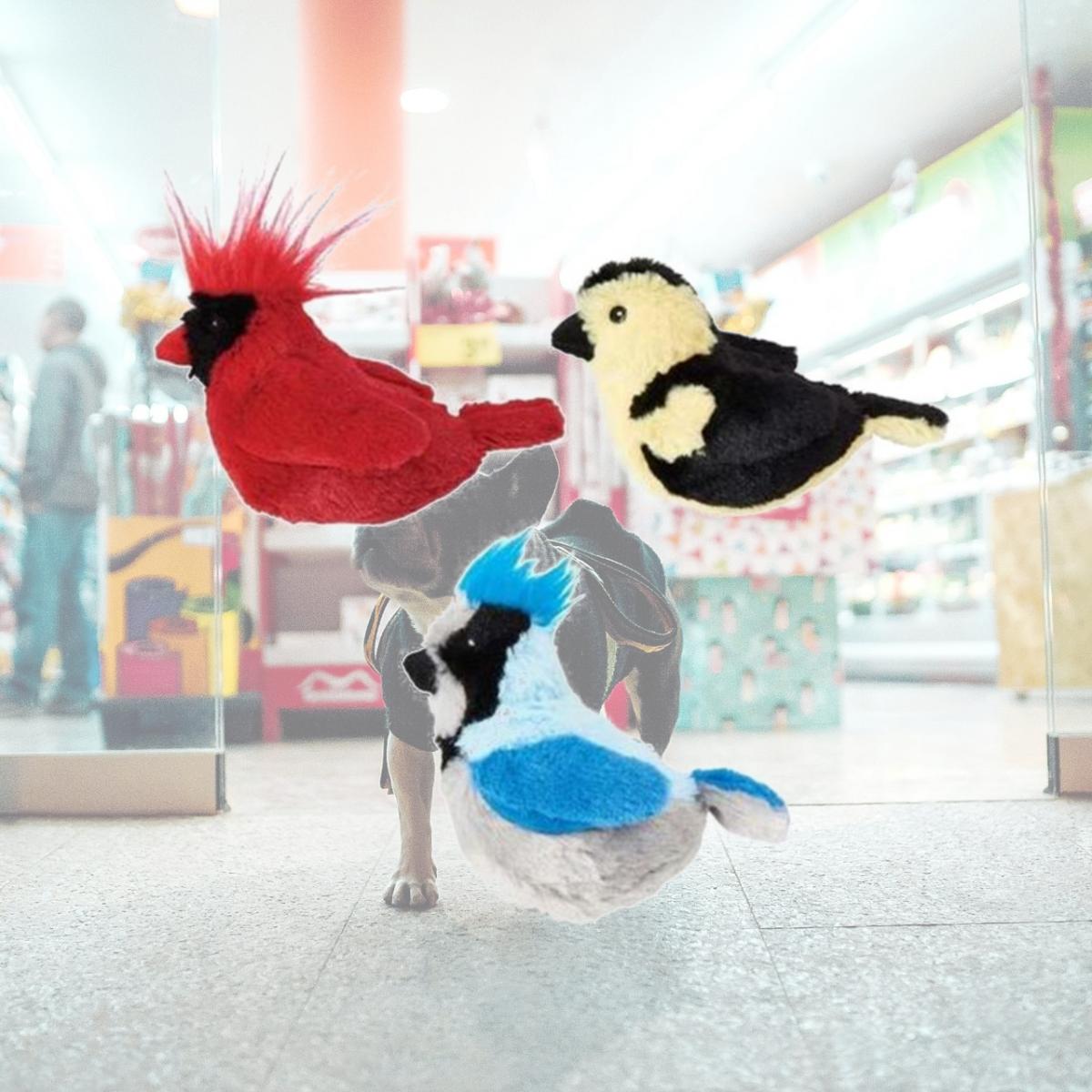 Picture of Ethical Products 774263 5 in. Songbird with Catnip, Assorted-color