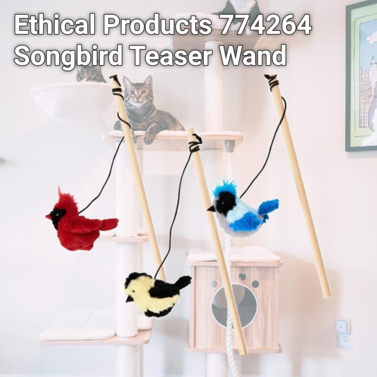 Picture of Ethical Products 774264 Songbird Teaser Wand