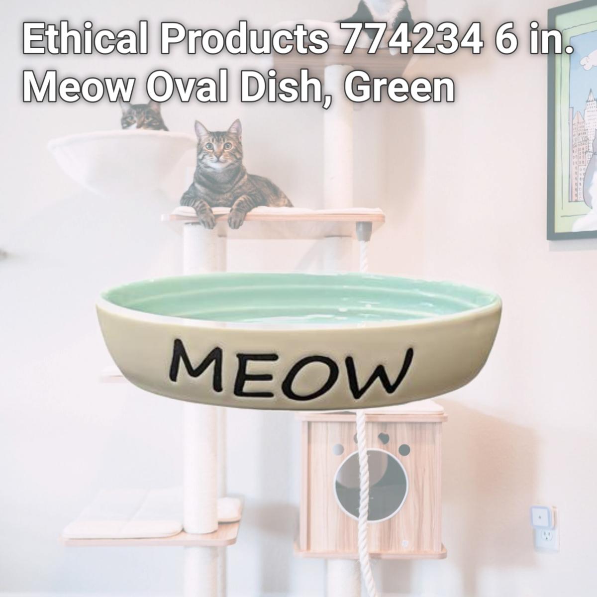 Picture of Ethical Products 774234 6 in. Meow Oval Dish, Green