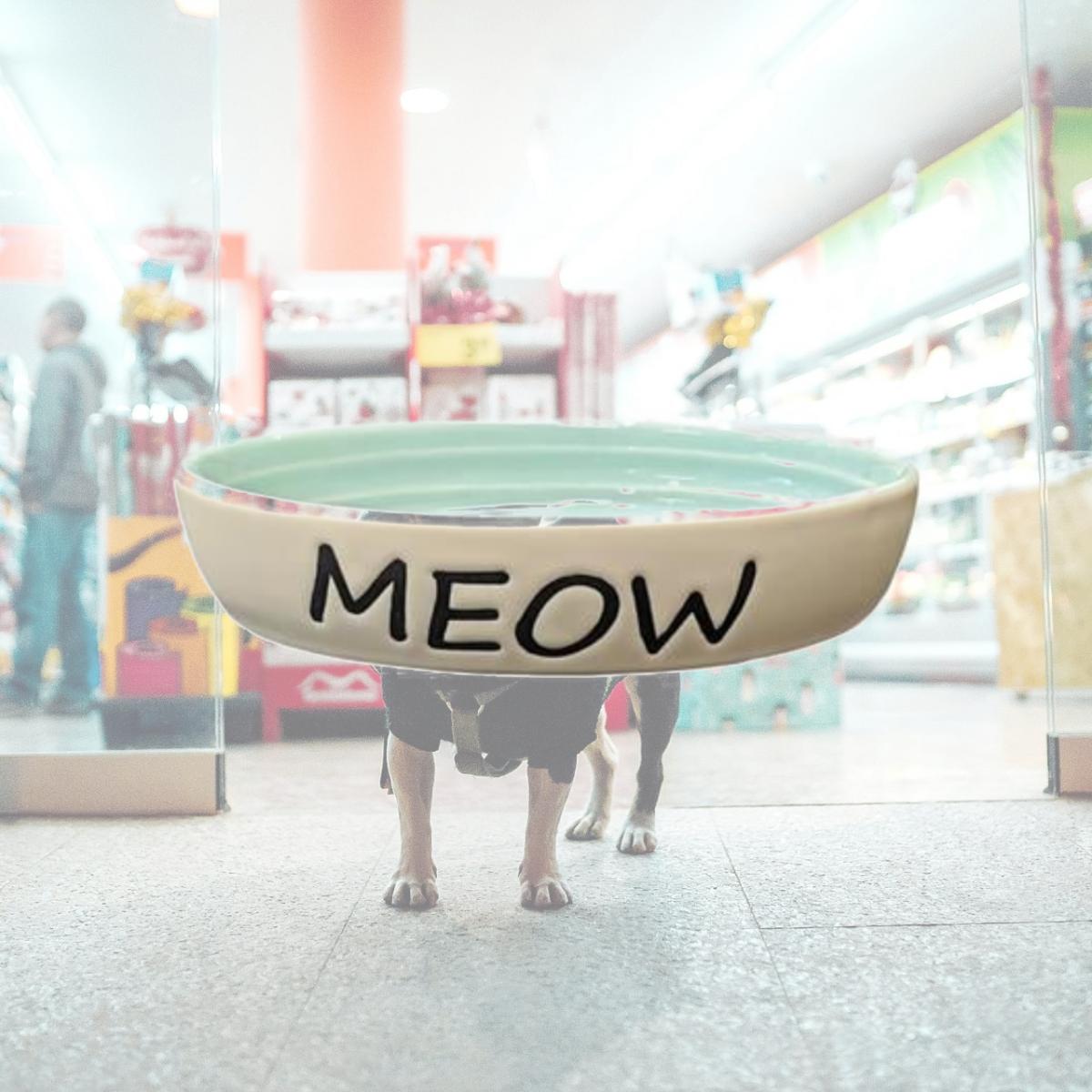 Picture of Ethical Products 774234 6 in. Meow Oval Dish, Green