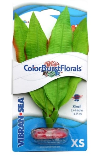 Picture of Blue Ribbon 030098 Colorburst Florals Amazon Sword Silk Style Plant - Green - Extra Small