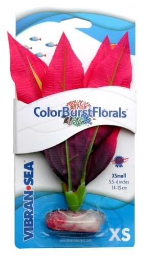 Picture of Blue Ribbon 030099 Colorburst Florals Amazon Sword Silk Style Plant - Red - Extra Small