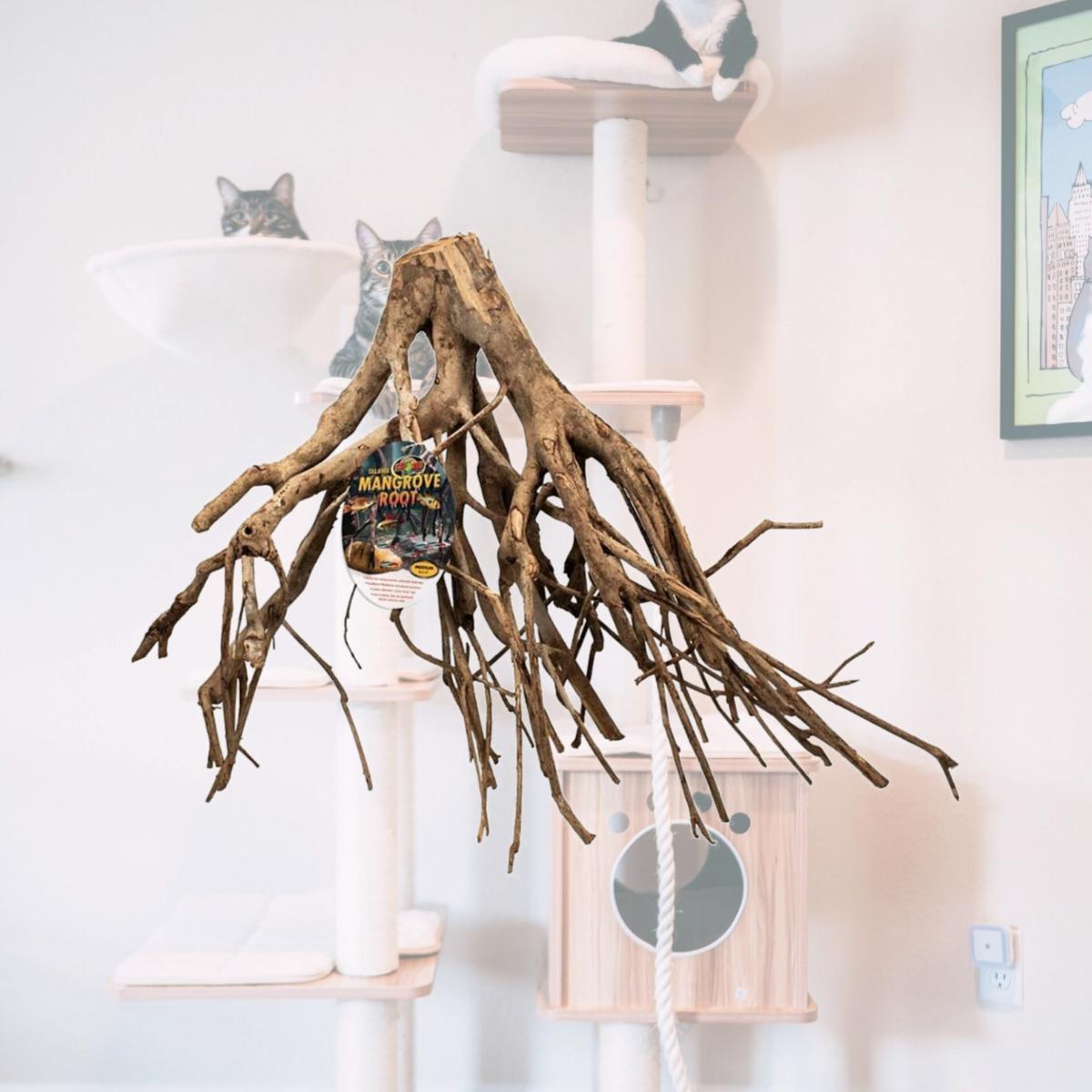 Picture of Zoo Med 977024 16 in. Zoo Talawa Mangrove Root for Aquarium - Medium