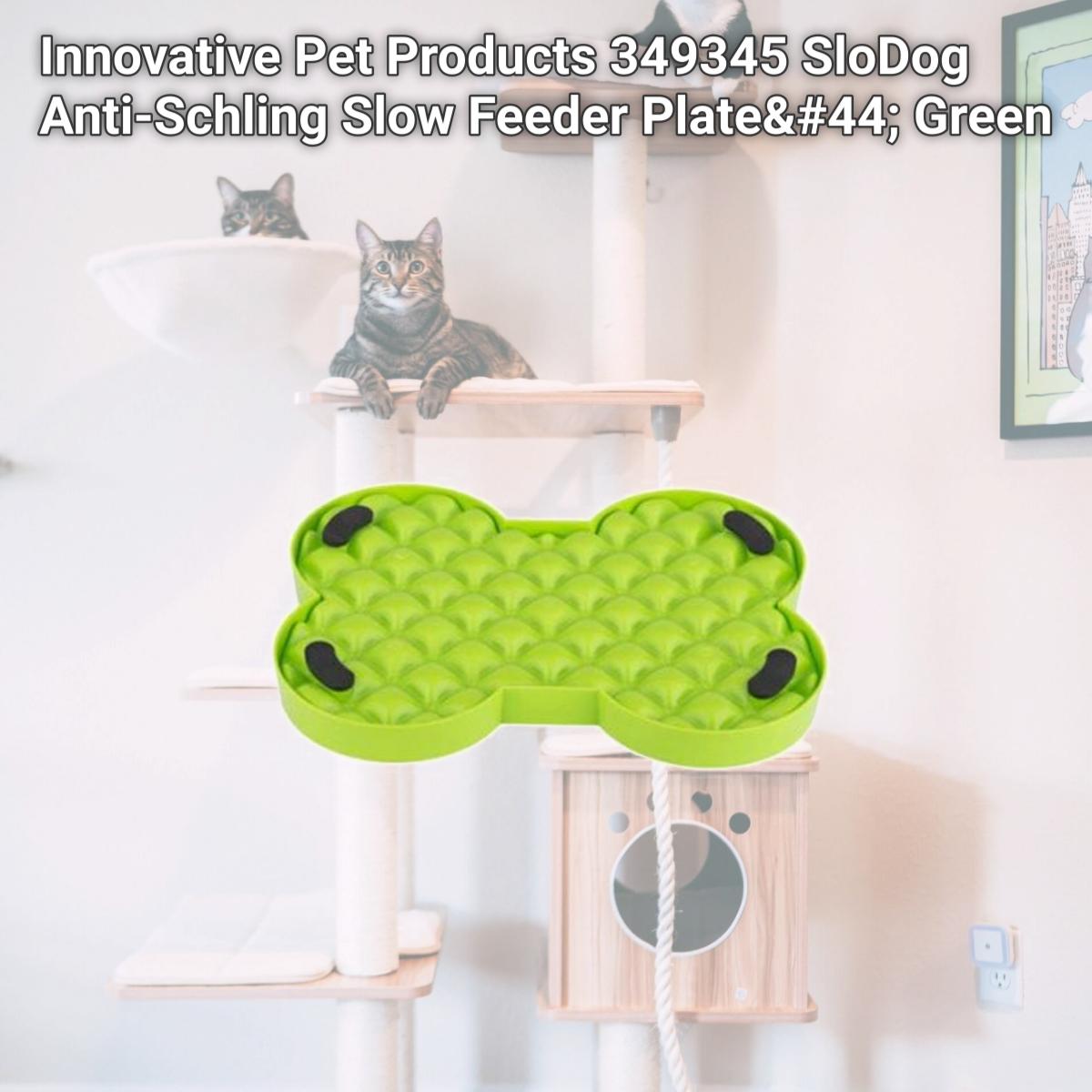 Picture of Innovative Pet Products 349345 SloDog Anti-Schling Slow Feeder Plate&#44; Green