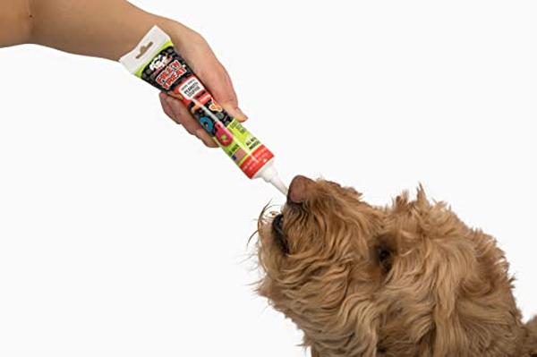 Picture of Jolly Pets 881360 5 oz Fill N Treat Pumpkin Peanut Butter Tube