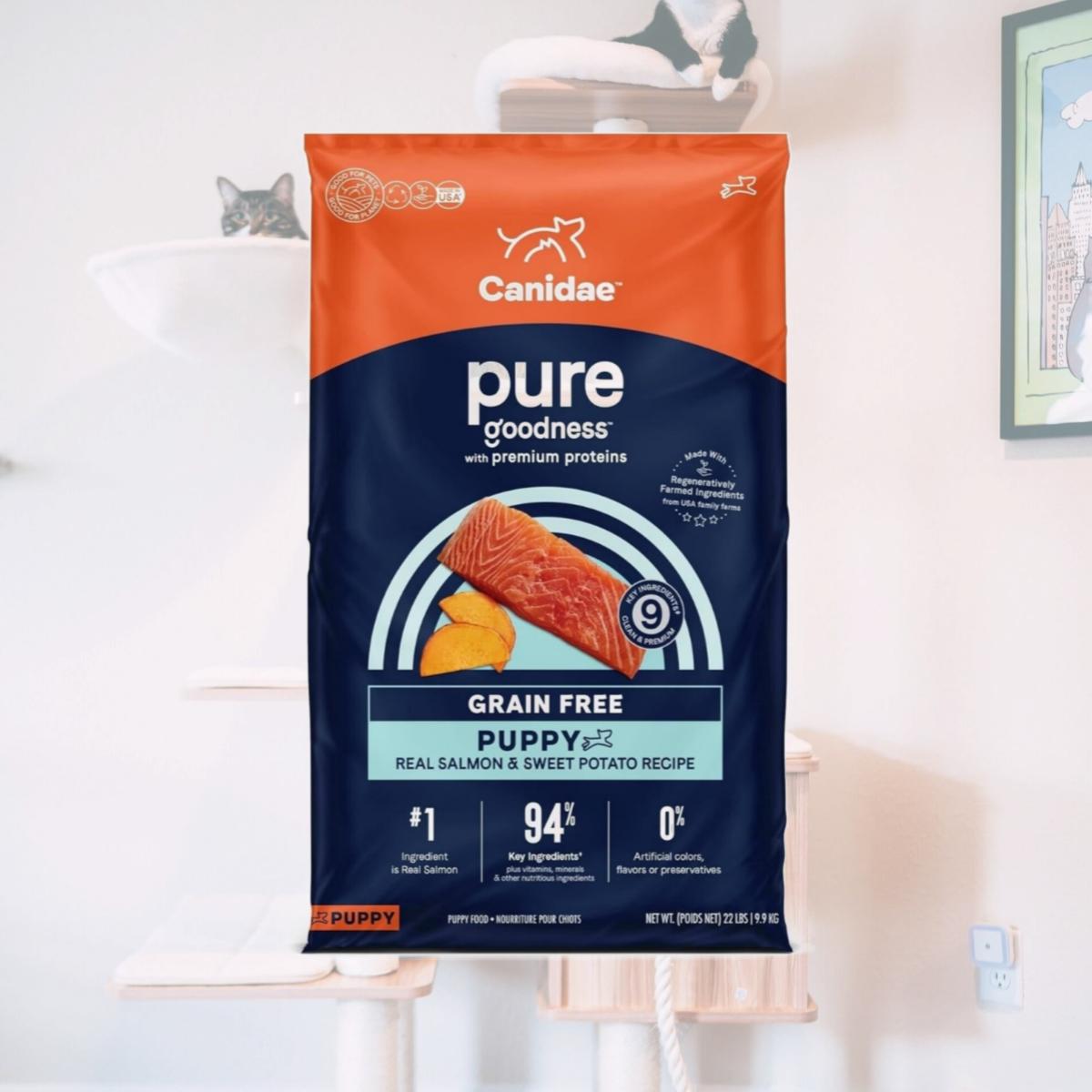 Picture of Canidae 102758 22 lbs Pure Goodness Grain Free Real Salmon & Sweet Potato Recipe Dry Puppy Food