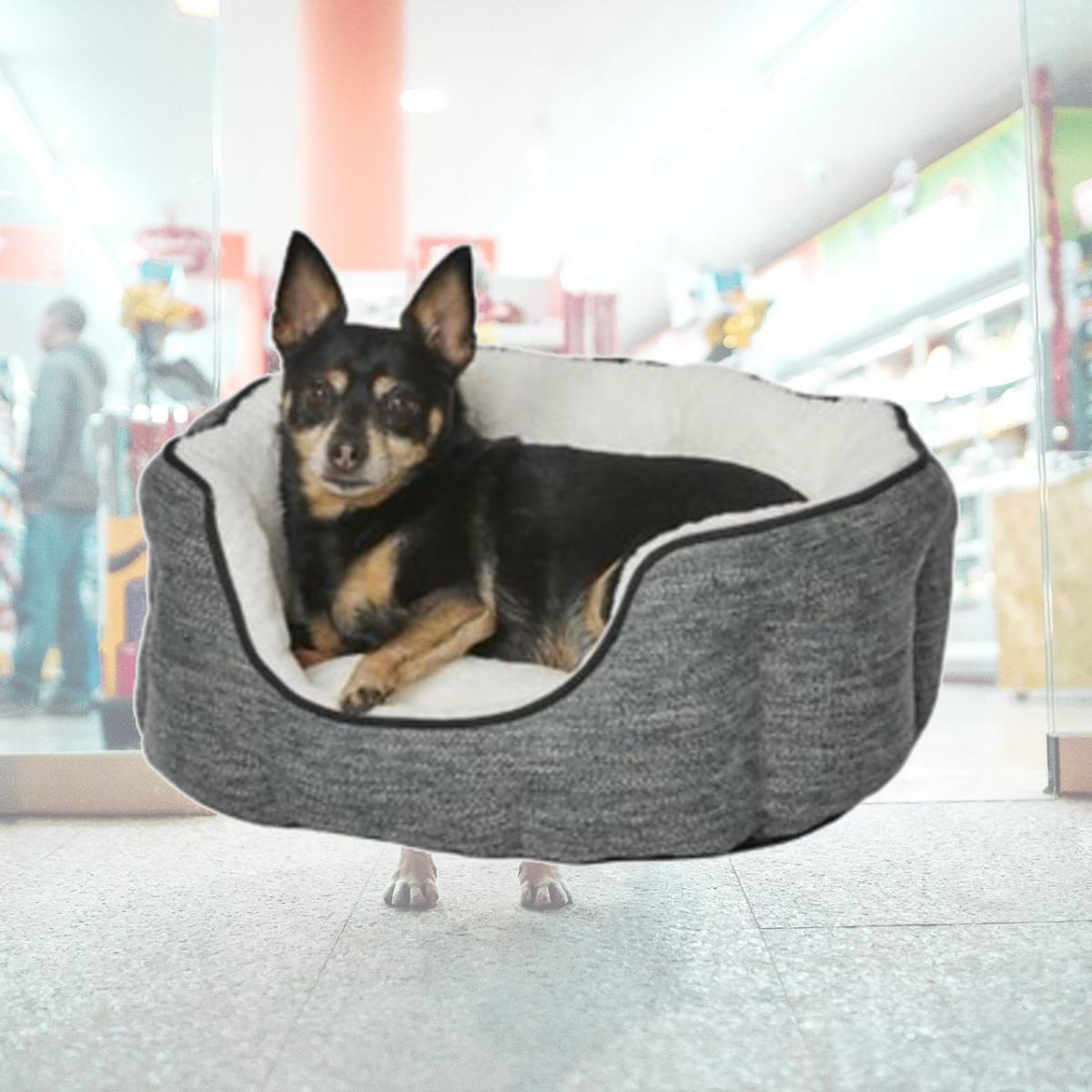 Picture of Midwest 277602 Quiet Time Evergreen Deluxe Tulip Nesting Dog Bed&#44; Multi Color & White - Extra Small