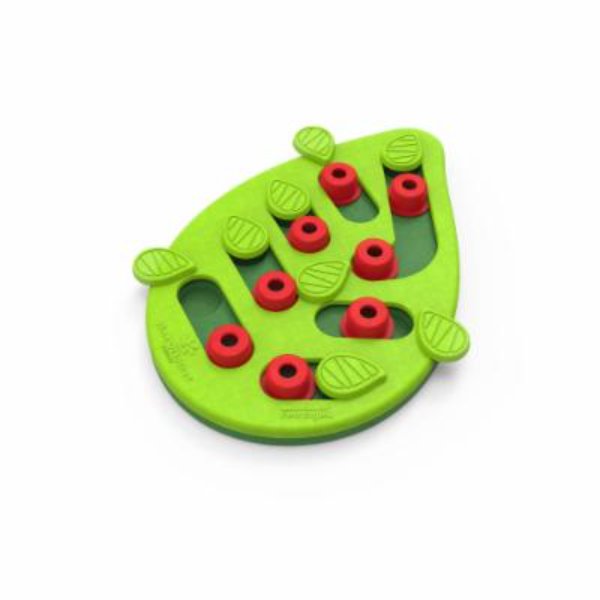 Picture of Kyjen 100295 Petstages Green Bugging Out Puzzle & Play Interactive Cat Treat Toy&#44; Green