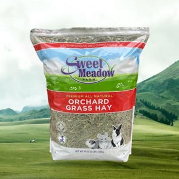 688020 3 lbs Orchard Grass Hay Small Pet Food - 5 Count
