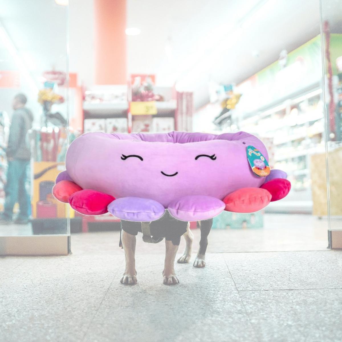 Picture of Jazwares 917101 24 in. Squishmallows Octopus Pet Bed&#44; Multi Color