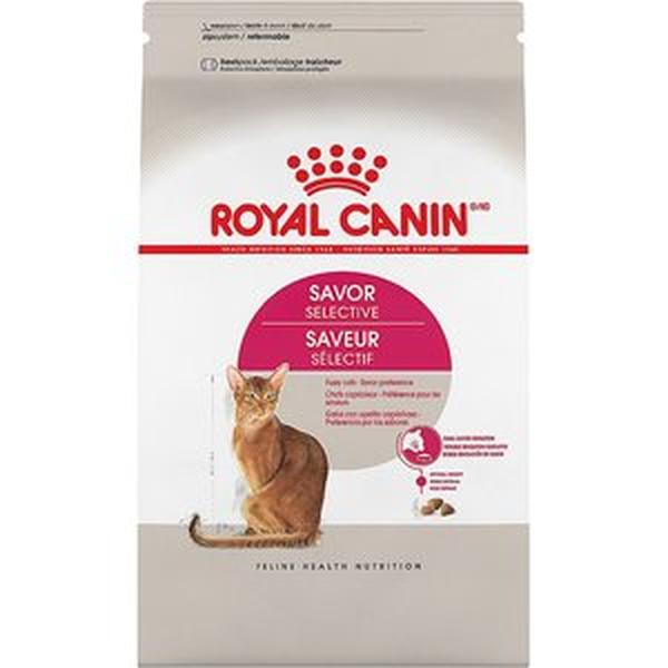 Picture of Comfurt Collar 109921 Dog & Cat Recovery Collar&#44; Black - Extra Large