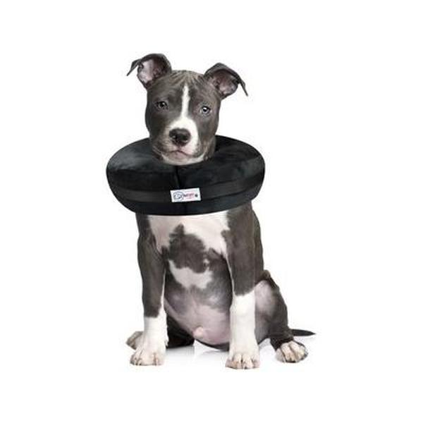 Picture of Comfurt Collar 109916 Dog & Cat Recovery Collar&#44; Black - Large