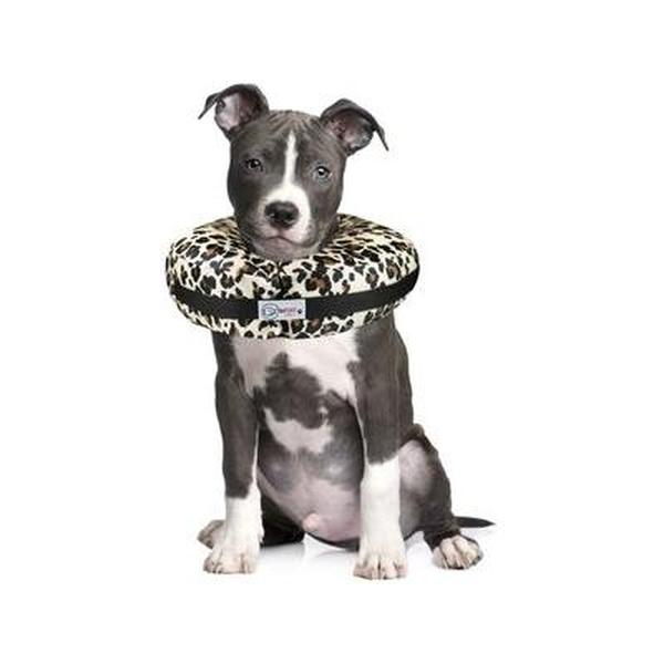 Picture of Comfurt Collar 109914 Dog & Cat Recovery Collar&#44; Cheetah - Large