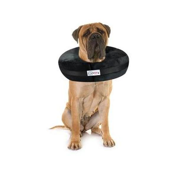 Picture of Comfurt Collar 109920 Dog & Cat Recovery Collar&#44; Black - 2XL