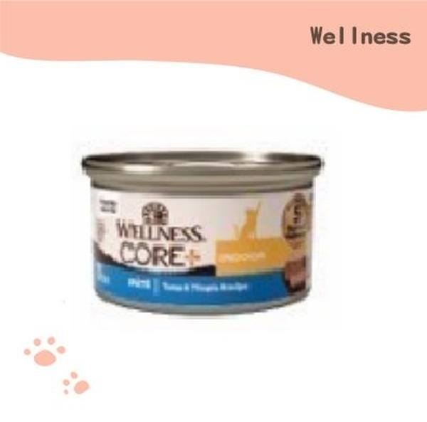 Picture of The Wellness Pet 101774 79 g Indoor Tuna & Tilapia Puree Cat Food - Pack of 12