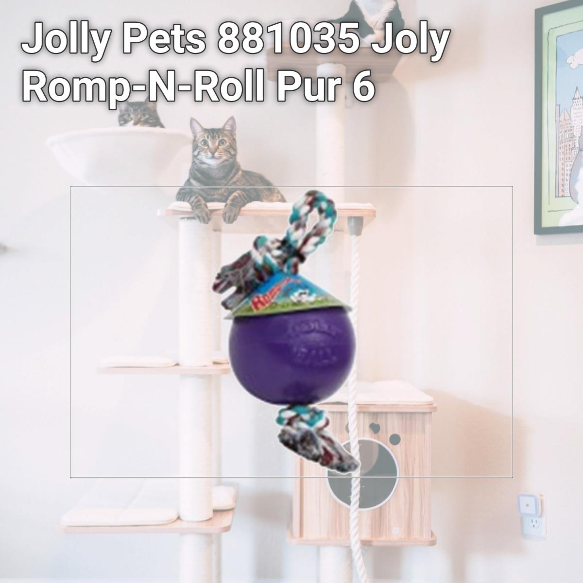Picture of Jolly Pets 881035 Joly Romp-N-Roll Pur 6