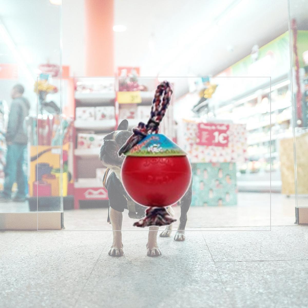 Picture of Jolly Pets 881047 Joly Romp-N-Roll Red 8