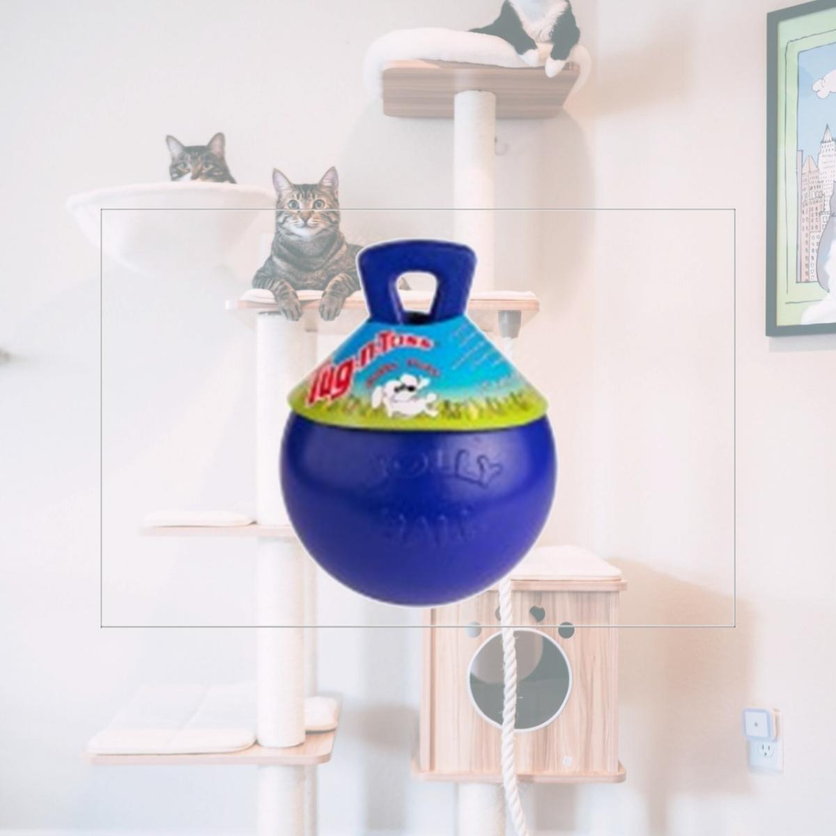 Picture of Jolly Pets 881095 Joly Tug-N-Toss Blue6