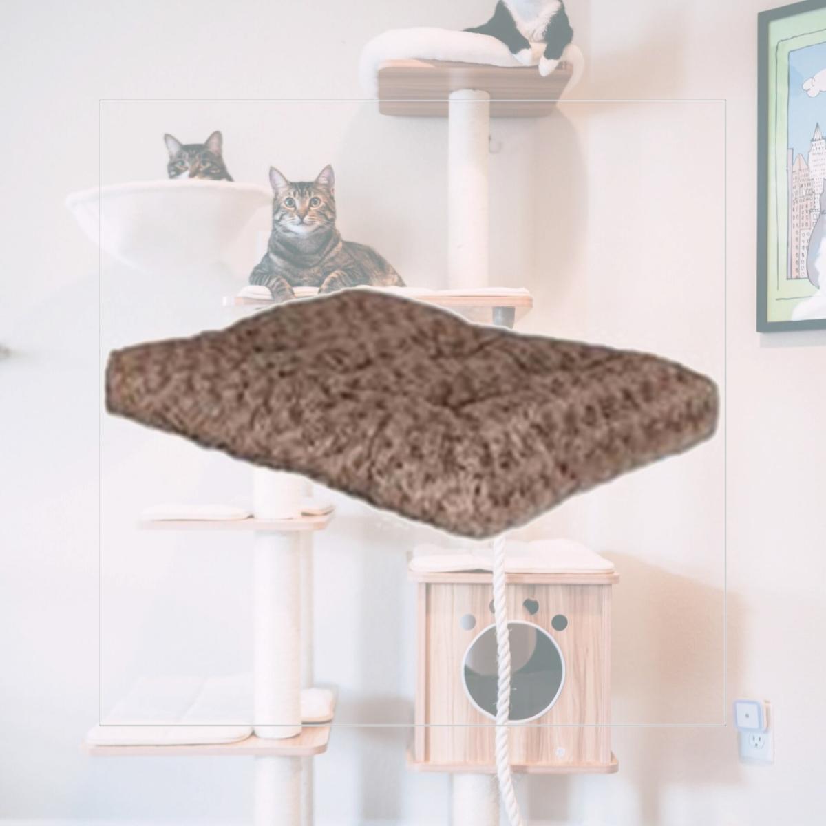 Picture of Midwest 277371 40622Stb Qt Ombre Sweet Bed 20X12