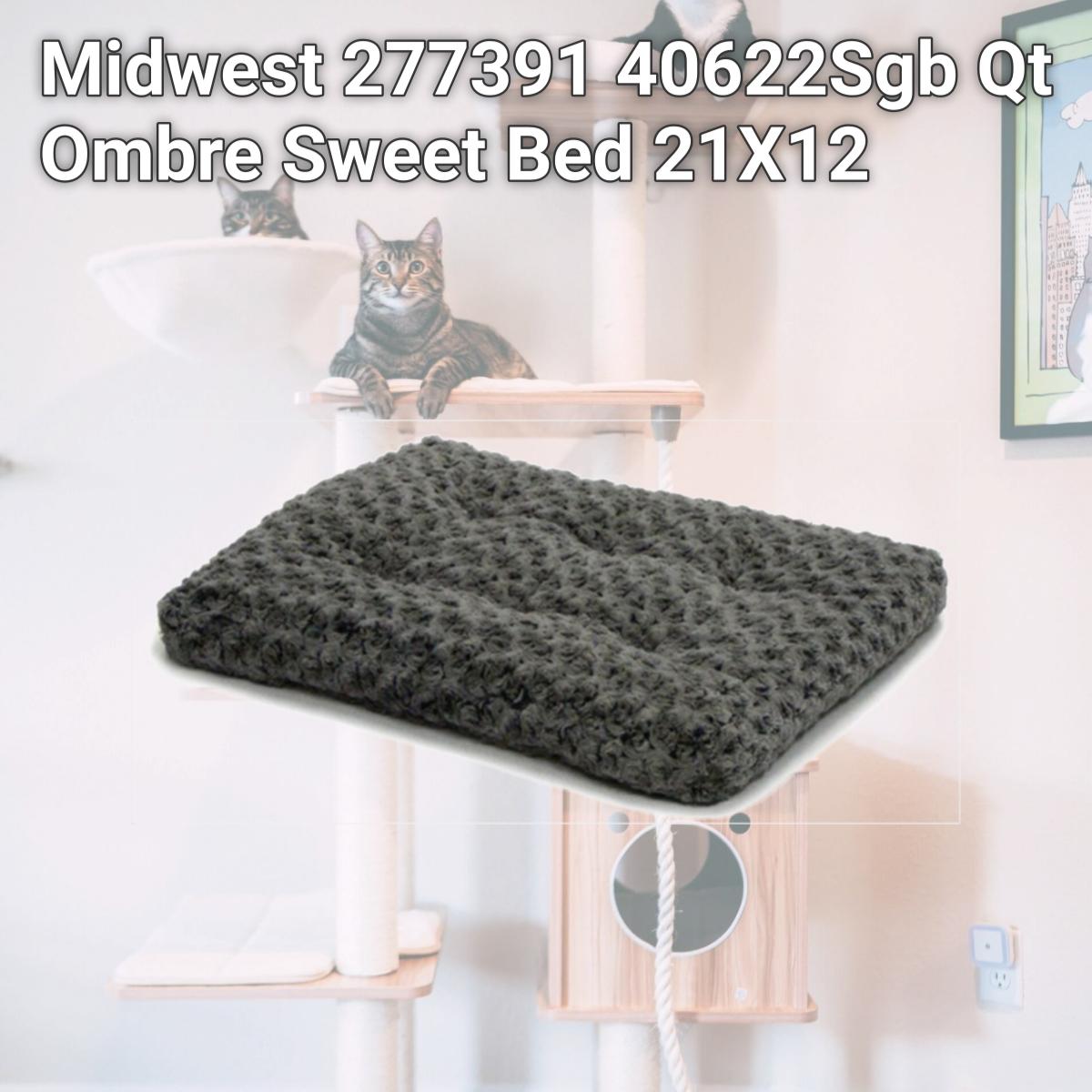 Picture of Midwest 277391 40622Sgb Qt Ombre Sweet Bed 21X12