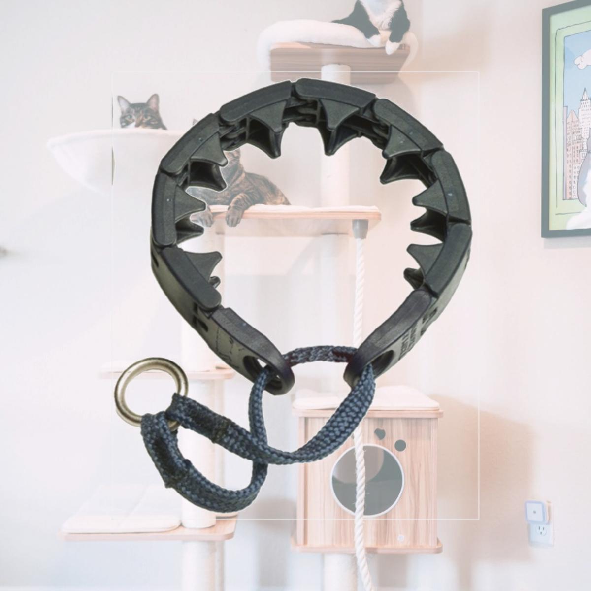 Picture of Starmark 716157 Starmark Collar Sm
