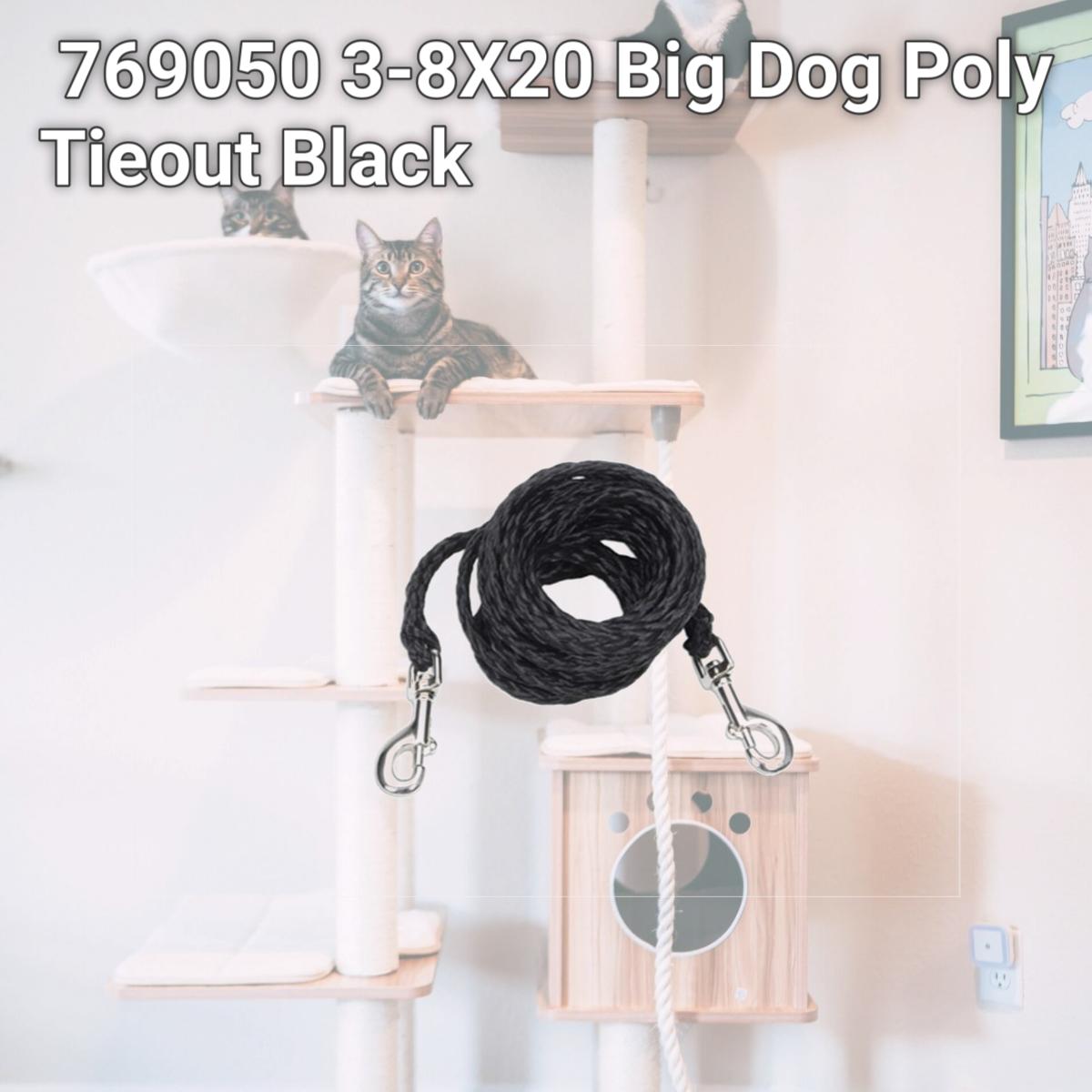 Picture of Coastal Pet Products 769050 3-8X20 Big Dog Poly Tieout Black