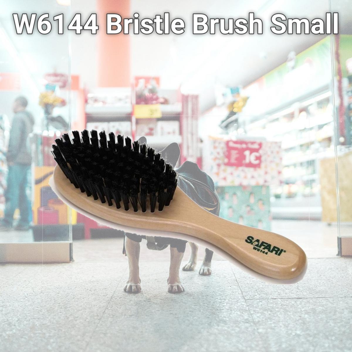 Picture of Coastal Pet Products 770065 W6144 Bristle Brush Small