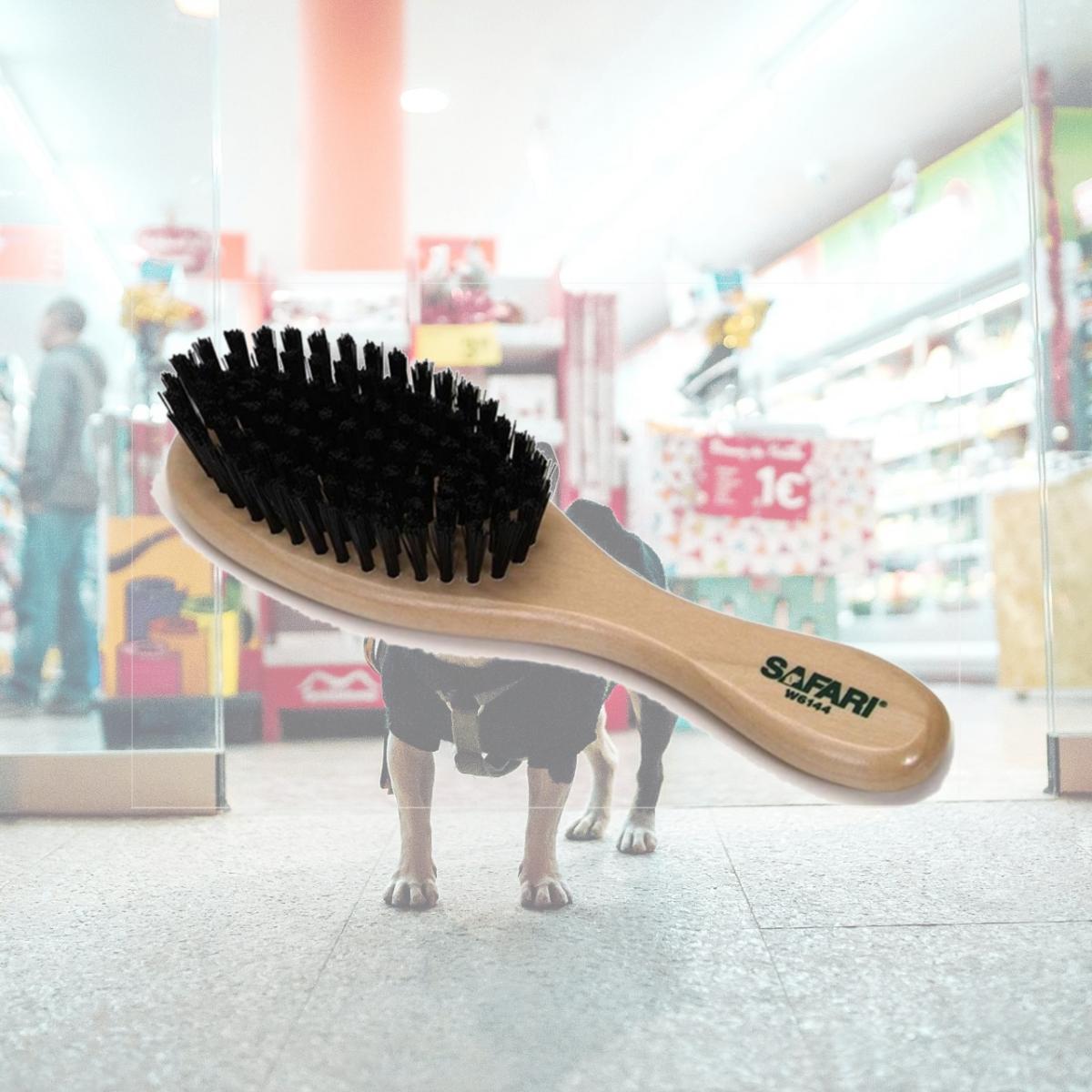 Picture of Coastal Pet Products 770065 W6144 Bristle Brush Small