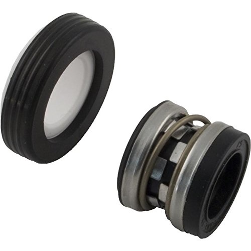 PS-3890 0.62 in. Shaft Buna & Carbon Seal Assembly