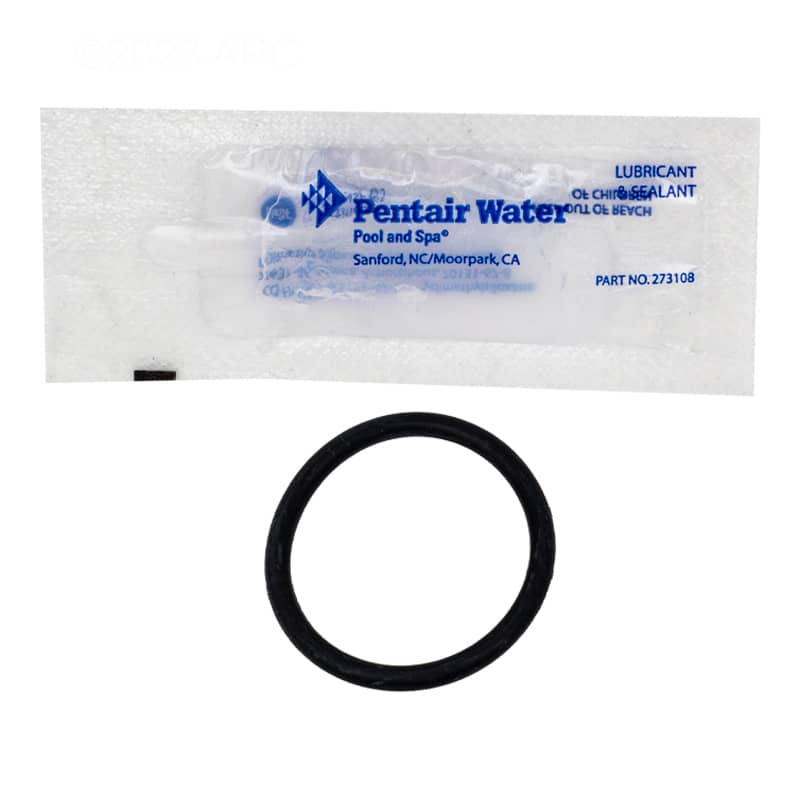 Pentair Water Pool & Spa 620463 O-Ring Conduit MicroBrite Replacement